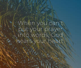 My Sample Graphic Quote Design